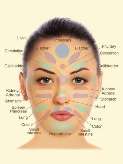 Facial Pressure Point Organ Reflex areas